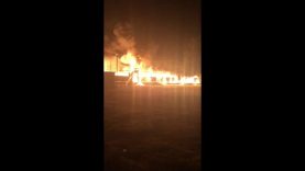 200 diere brand in wildkampe dood