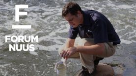 AfriForum loods landswye #Skoonwater-projek