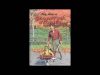 Afrikaanse Kinderstories – DIE TWEE RINAS – Oom Attie se Slaaptydstories