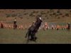 Battle of Laings Nek