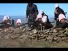 Battle of Majuba