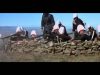 Battle of Majuba