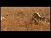 BBC: The Boer War – Part 2
