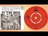 Die Bats – Groen en goud