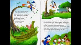 DIE WOODCHUCKS IN DIE DONKER MOERASWOUD – Tannie Richelle Lees Afrikaanse Kinderstories