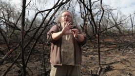 Dr. Wallace Vosloo: Die ontstaan van die Knysna-brande – ‘n jaar later