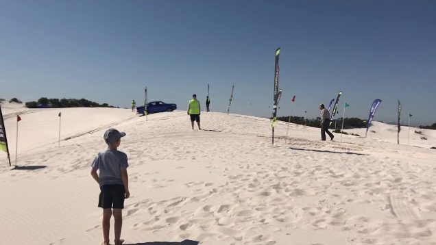 Duinepret op Kaapstad se voorstoep