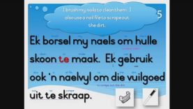 ESCS EDUFRIENDS – Phase 8 Book 3 – HANDE / HANDS (Afrikaans Reading Help)