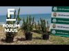 Forum Nuus: AfriForum sluit boomplantmaand in Knysna af