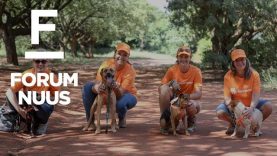 Forum Nuus: #AnkerdorpPadskou – AfriForum besoek die diereskuiling Wollies in Pretoria-Noord