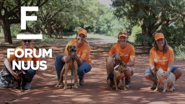 Forum Nuus: #AnkerdorpPadskou – AfriForum besoek die diereskuiling Wollies in Pretoria-Noord