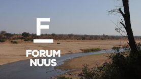 Forum Nuus: Weg met myn by Krugerwildtuin