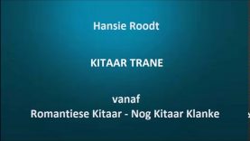 Hansie Roodt – Kitaar trane