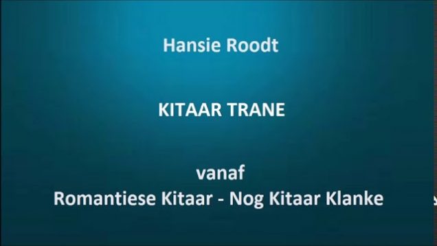 Hansie Roodt – Kitaar trane