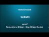 Hansie Roodt – Suidwes