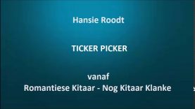 Hansie Roodt – Ticker Picker