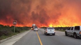 knysna brand N2 middag