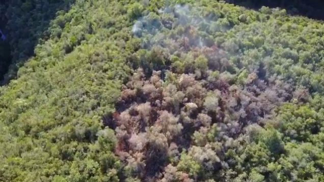 Knysna-brande: Video van smeulende onderbos