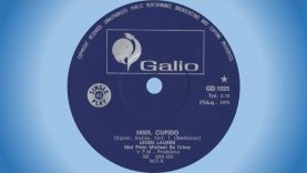 Leoné Lauren (Lauren Copley) – Mnr Cupido
