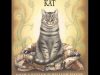LIEPLAP DIE LAPPIESKAT – Tannie Richelle Lees Afrikaanse Kinderstories