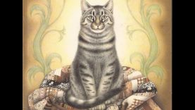 LIEPLAP DIE LAPPIESKAT – Tannie Richelle Lees Afrikaanse Kinderstories