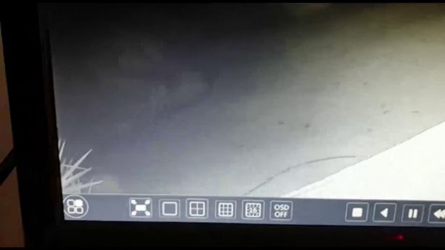 Plaasaanval op video vasgevang: ‘Hulle was daar om moord te pleeg’
