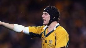 Stephen Larkham – Wallaby Genius