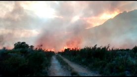 Veldbrand ‘buite beheer’ in Kaapse Wynlande