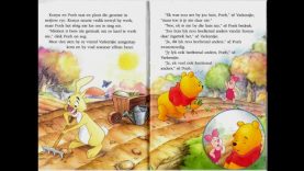 WINNIE-DIE-POEH EN ‘N GOEIE NAGRUS (Tannie Richelle Lees Afrikaanse Kinderstories)
