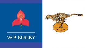1997 Currie Cup Final – Western Province vs Freestate
