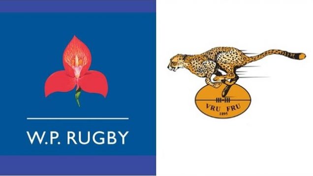1997 Currie Cup Final – Western Province vs Freestate
