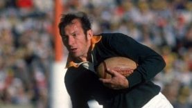 Gerrie Germishuys – A Classic Wing