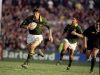 Pieter Rossouw – The Underrated Try Machine