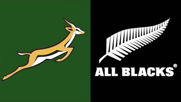 Rugby Test Match – Springboks vs All Blacks 15 August 1992