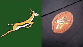 Springboks vs Junior Springboks 12 October 1991