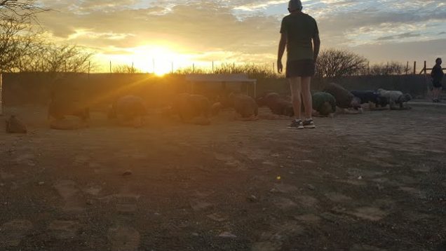 Defence & Adventure camp