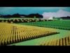 Familieboer Resolusie