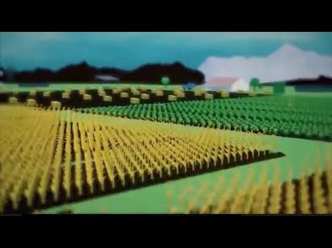 Familieboer Resolusie