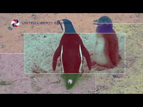 ULA orientation – translated video