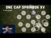 My One Cap Springbok XV