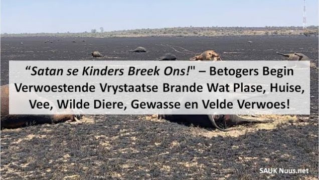 “Satan se Kinders Breek Ons!” Betogers Begin Verwoestende Vrystaatse Brand Wat Plase & Diere Afbrand