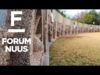 Forum Nuus: Jongmense bou op hul erfenis