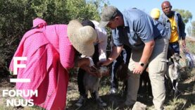 AfriForum en Saai help Barolong met landbouprojek om boerdery winsgewend te maak 08-05-2024