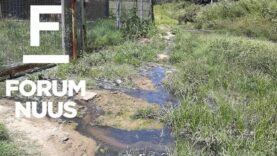 Forum Nuus: AfriForum dien klagtes in oor riool in Welkom en Kroonstad
