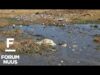 Forum Nuus: AfriForum dien klagtes in oor rioolstortings in Parys 28-08-2023