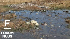 Forum Nuus: AfriForum dien klagtes in oor rioolstortings in Parys 28-08-2023