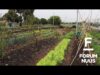 Forum Nuus: AfriForum se Kaapstad-Noord-tak bevorder selfstandigheid 18-08-2022
