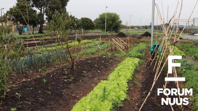 Forum Nuus: AfriForum se Kaapstad-Noord-tak bevorder selfstandigheid 18-08-2022