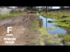 Forum Nuus: AfriForum se Viljoenskroon-tak wil dorp regruk 21/06/2022