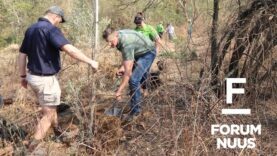 Forum Nuus: AfriForum skop Boomplantmaand-projek in Pretoria af 04-09-2023